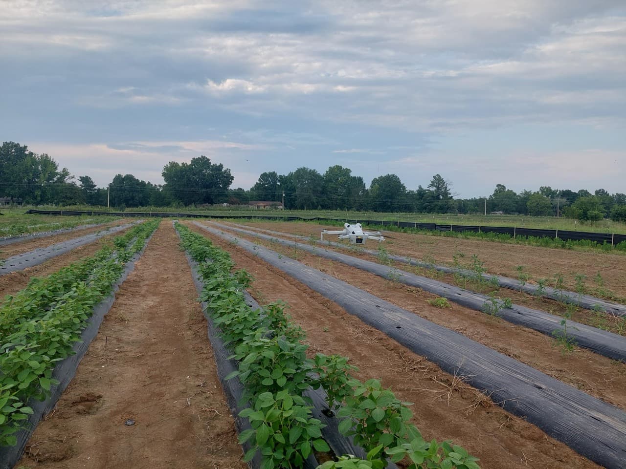 Collecting data using drone